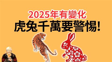 屬虎 個性|生肖虎: 性格，愛情，2024運勢，生肖1989，2001，2013